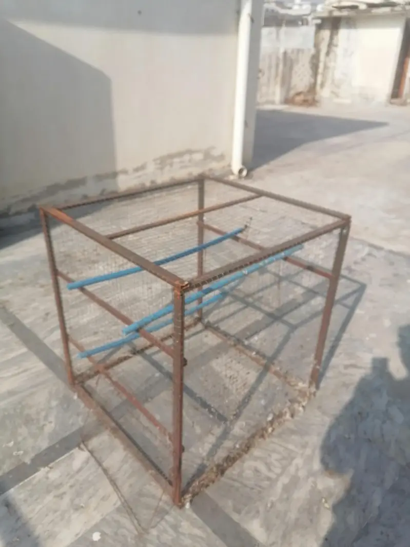 iron cage — photo 2