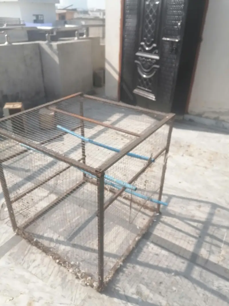 iron cage — photo 3