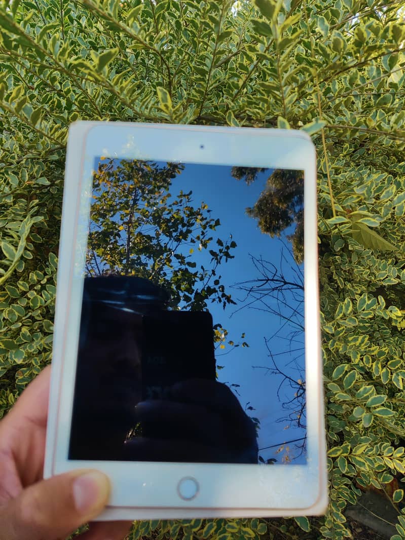 IPAD MINI 5 1