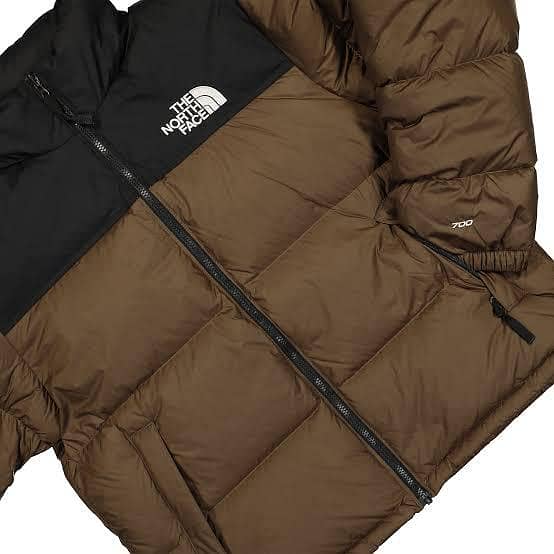 North face 1