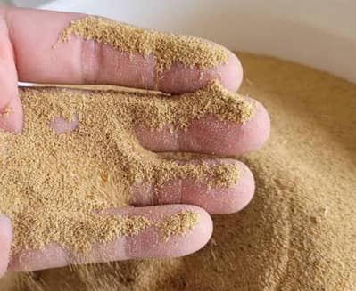 Premium Mealworms Frass for Sale