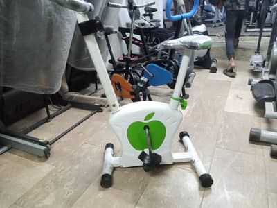 Exercise (Magnetic apple bike) cycle