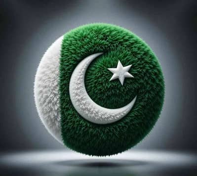 shahzar sheikh