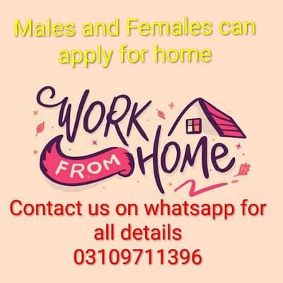 WE WANTED SIALKOT MALES FEMALES FOR ONLINE TYPING HOMEBASE JOB