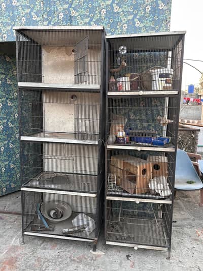 Cage urgent sale