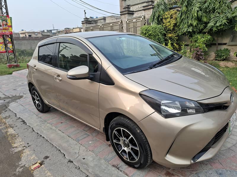 vitz spider shape 2014 2