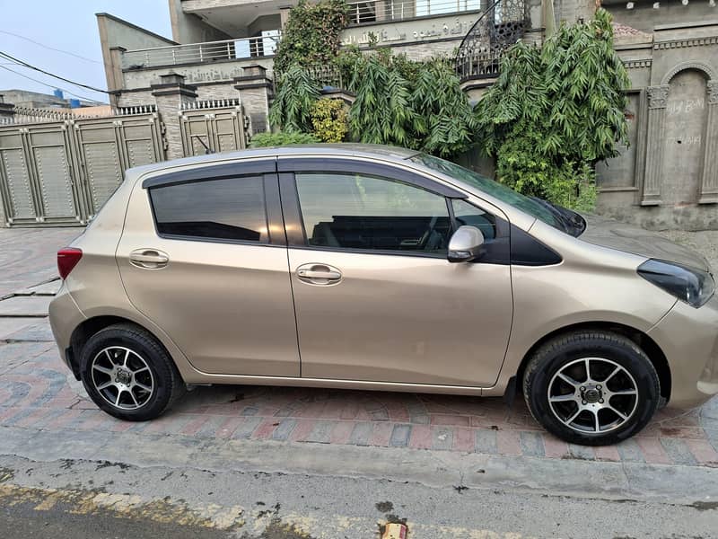 vitz spider shape 2014 5