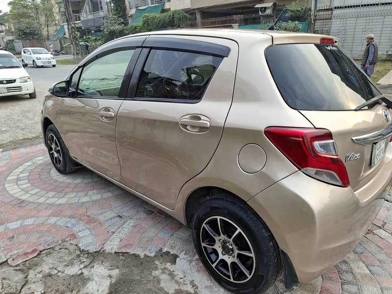 vitz spider shape 2014 7