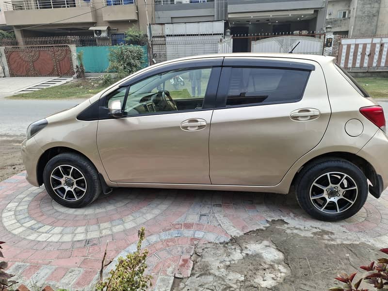 vitz spider shape 2014 8