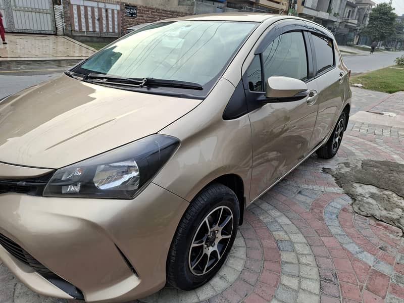 vitz spider shape 2014 9