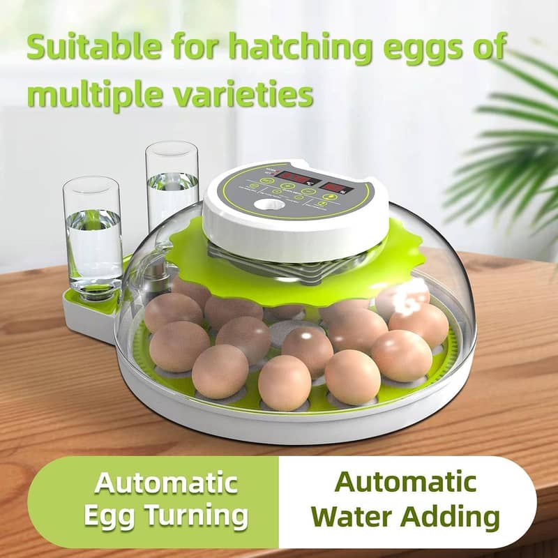 Automatic Egg Incubator | Egg Hatching Machine | Incubator | Brooder 1
