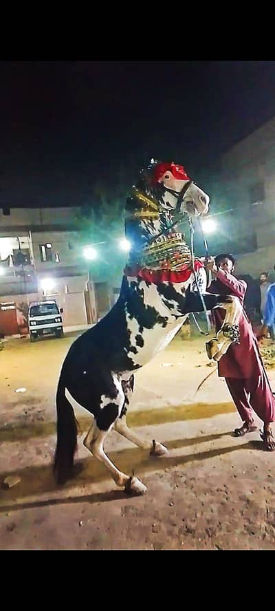 Karachi dancing notes and neza Bazi chaalbaaz hite 59