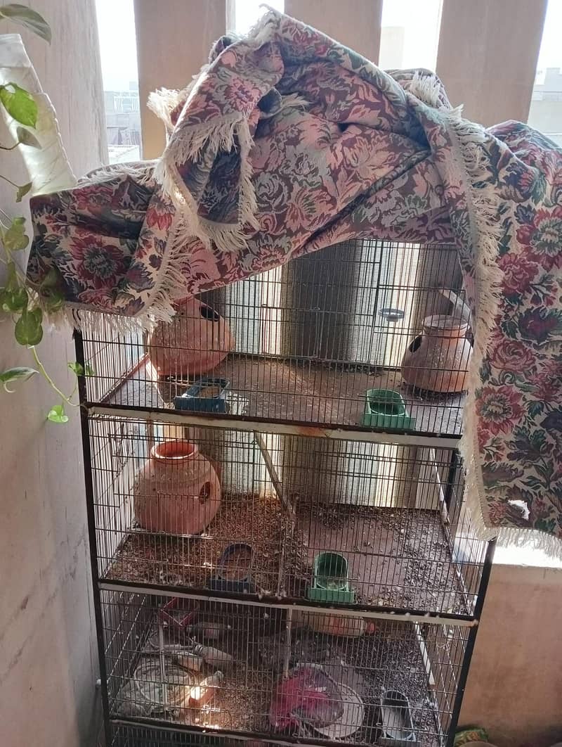 7 portion big cage with free gray java 0