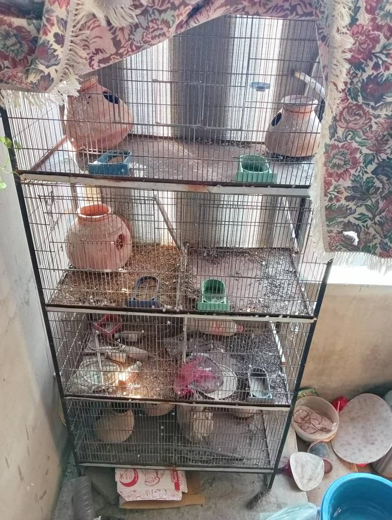 7 portion big cage with free gray java 1