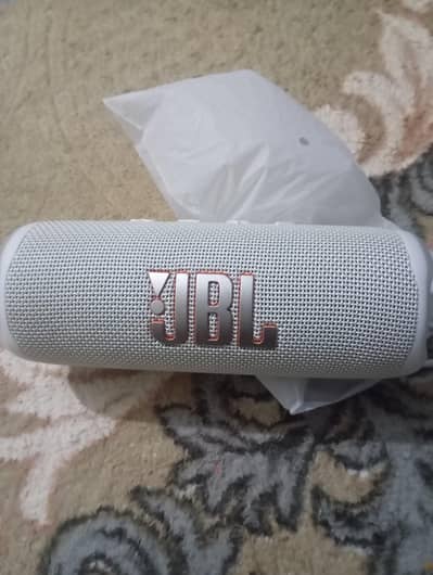 JBL Sapeekar Flap 6