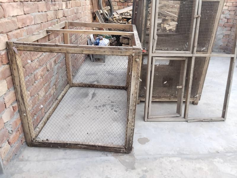 کبوتروں کا پنجھرہ 0