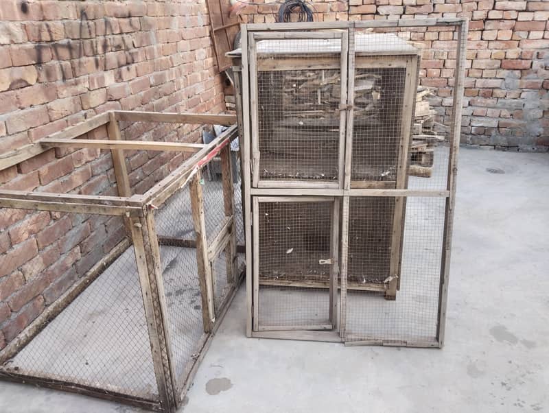 کبوتروں کا پنجھرہ 1