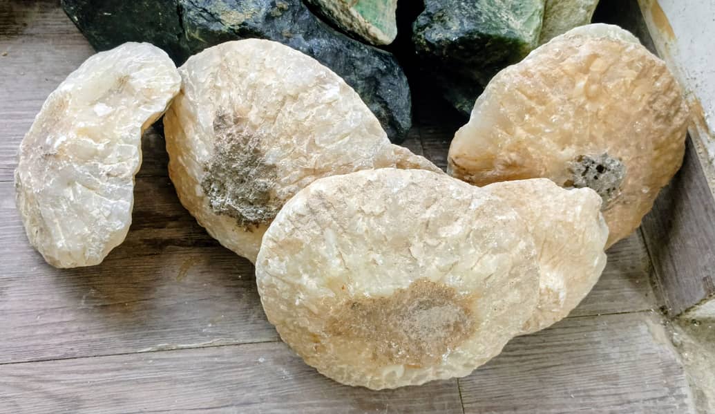Fossils Stone 0