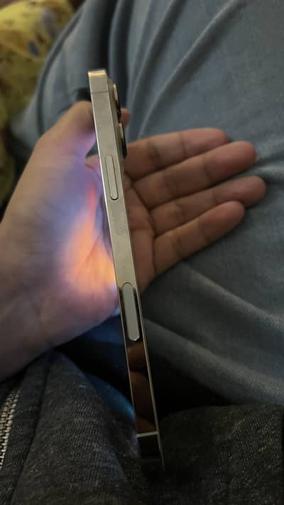 Iphone 13 pro max 256 gb