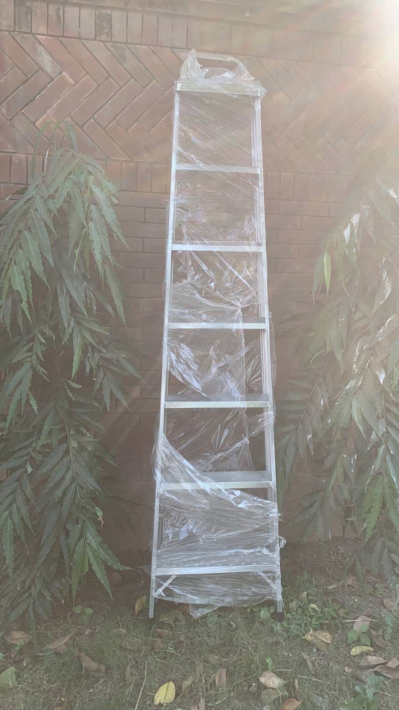 folding ladder 1