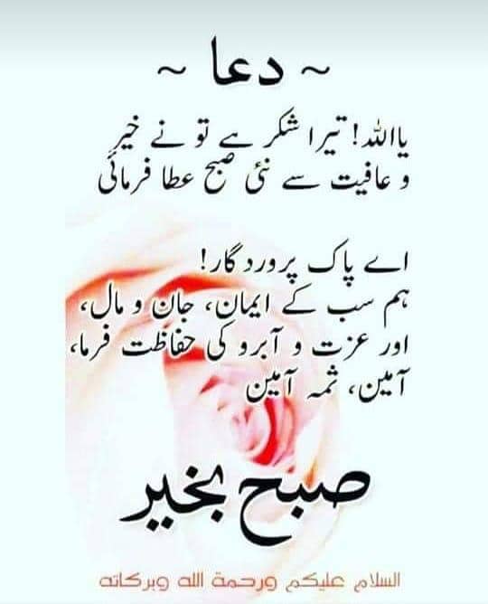 Tripod with Olympus camera 18