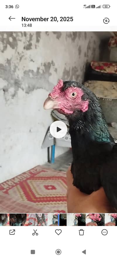 achi madiya hain ek full black or ek red