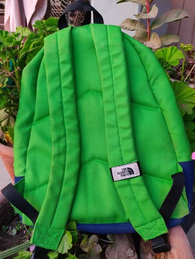 The Northface Backpack