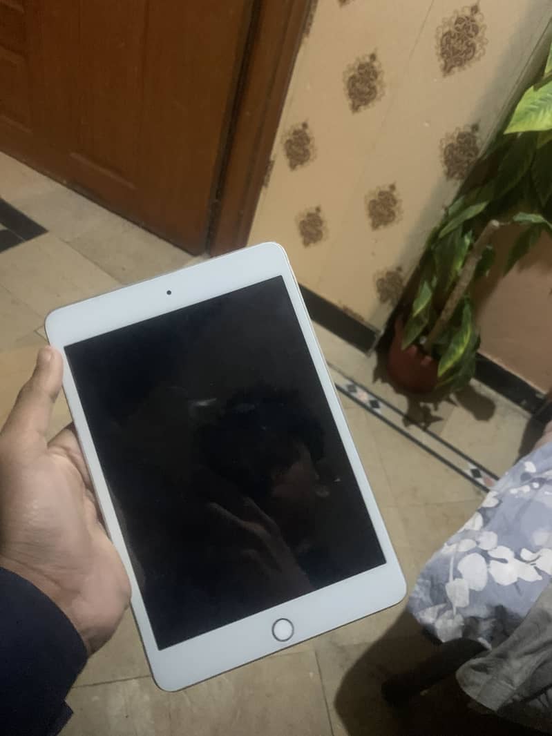 IPAD MINI 5 0