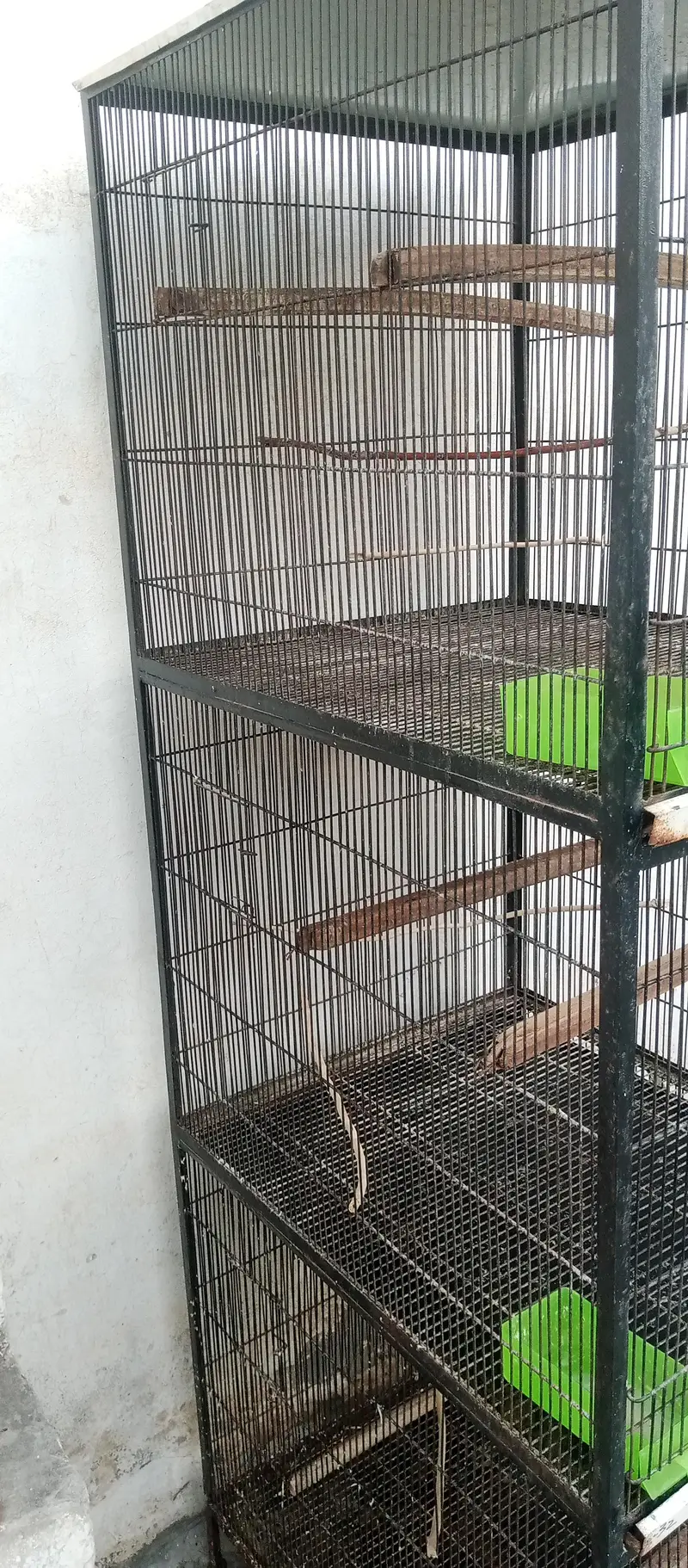 Cage 3 Portion/Metal Cage — photo 4
