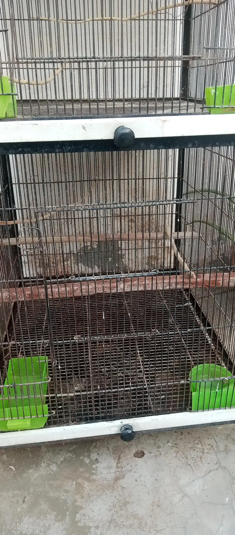 Cage 3 Portion/Metal Cage — photo 5