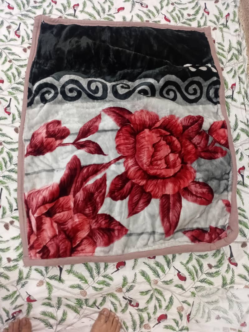 Different Fancy Bed Sheets 9