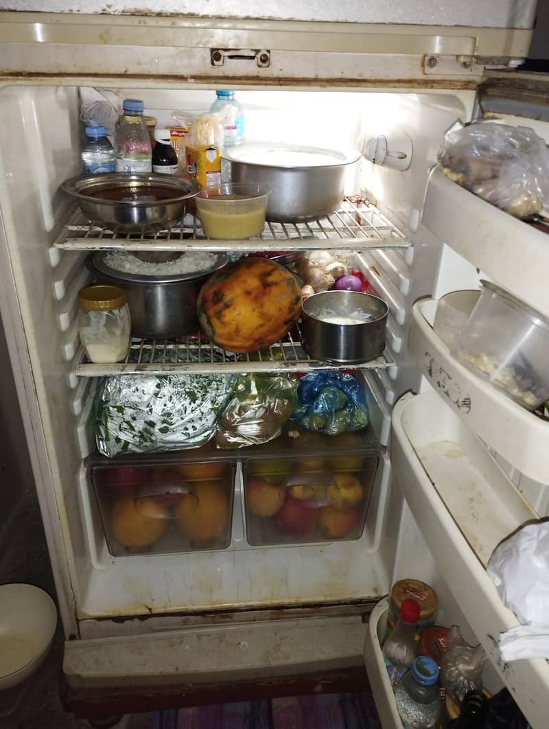 Orient refrigerators 4