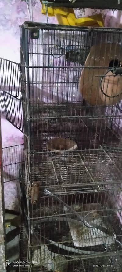 2200 par pice Cage size 18*18*36 inches