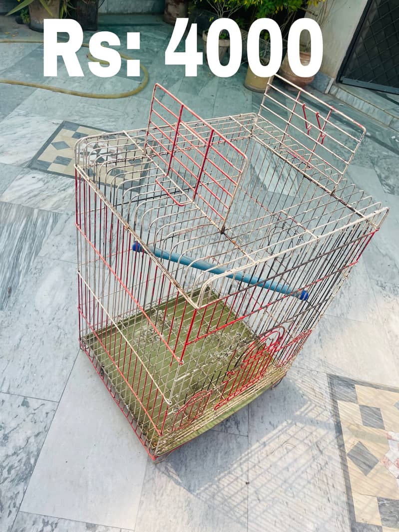 Cages Available 0