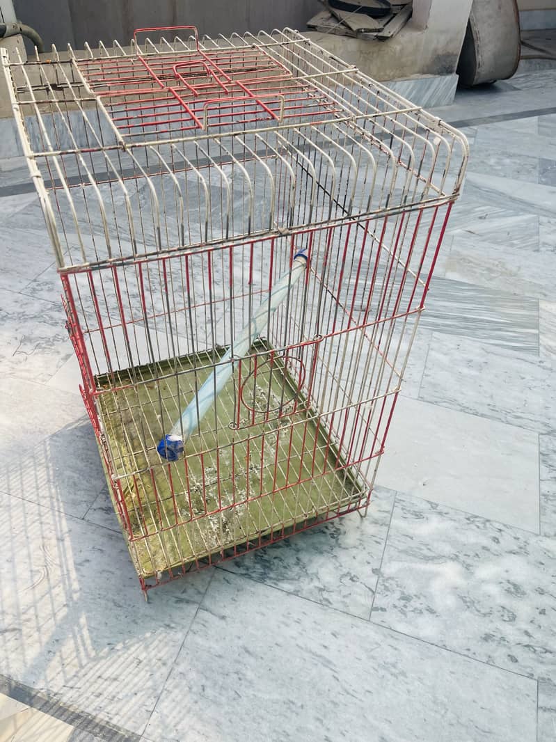 Cages Available 1