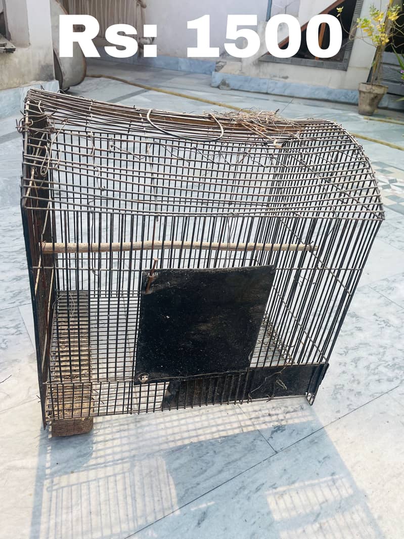 Cages Available 3