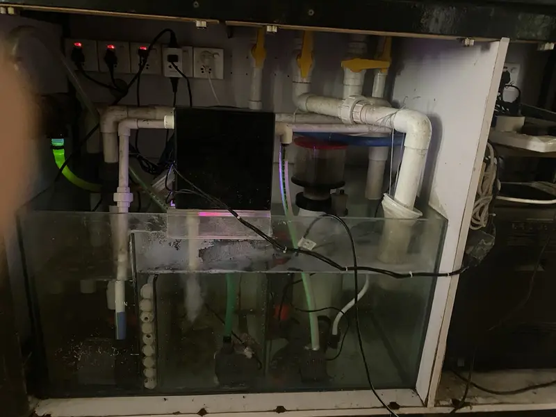 Sea Water Reef Aquarium - Large — photo 3