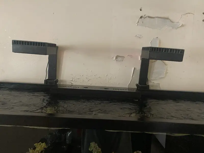 Sea Water Reef Aquarium - Large — photo 4