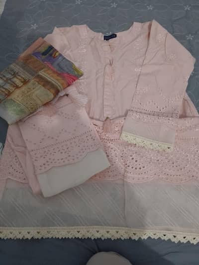 beautiful chicken work 3piece suit