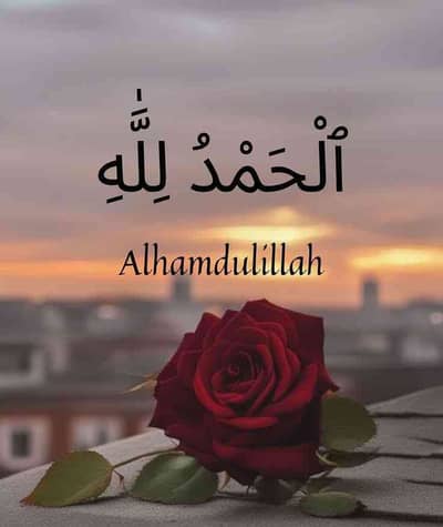 shaheen 