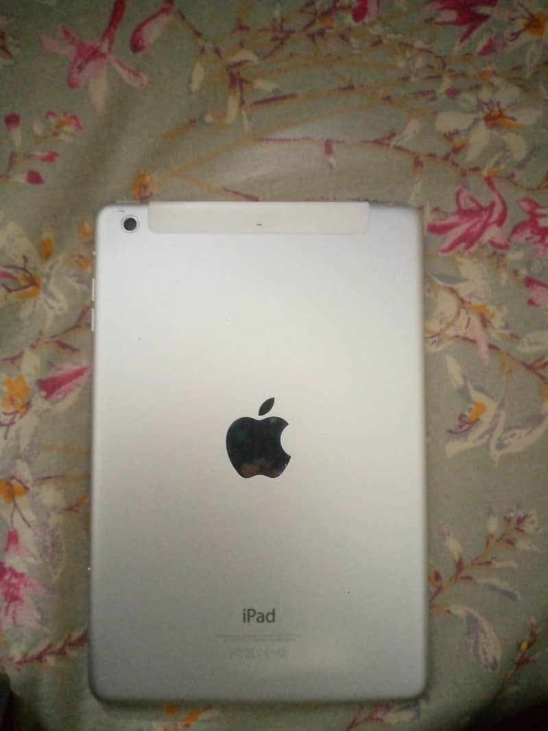 iPad mini 1