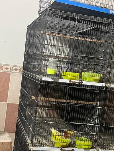 2 Tower cage for birds