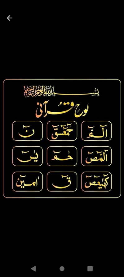 Zeeshan Kamboh Shani