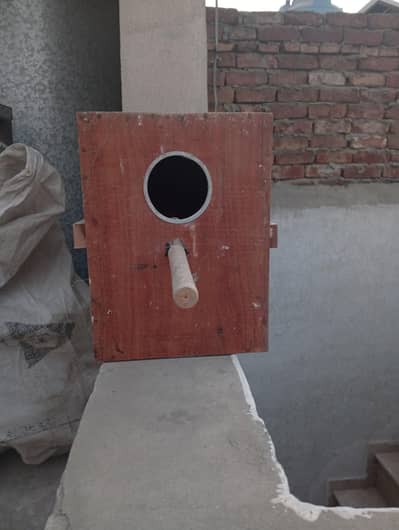 finches, budgie's, love birds, java breeder box