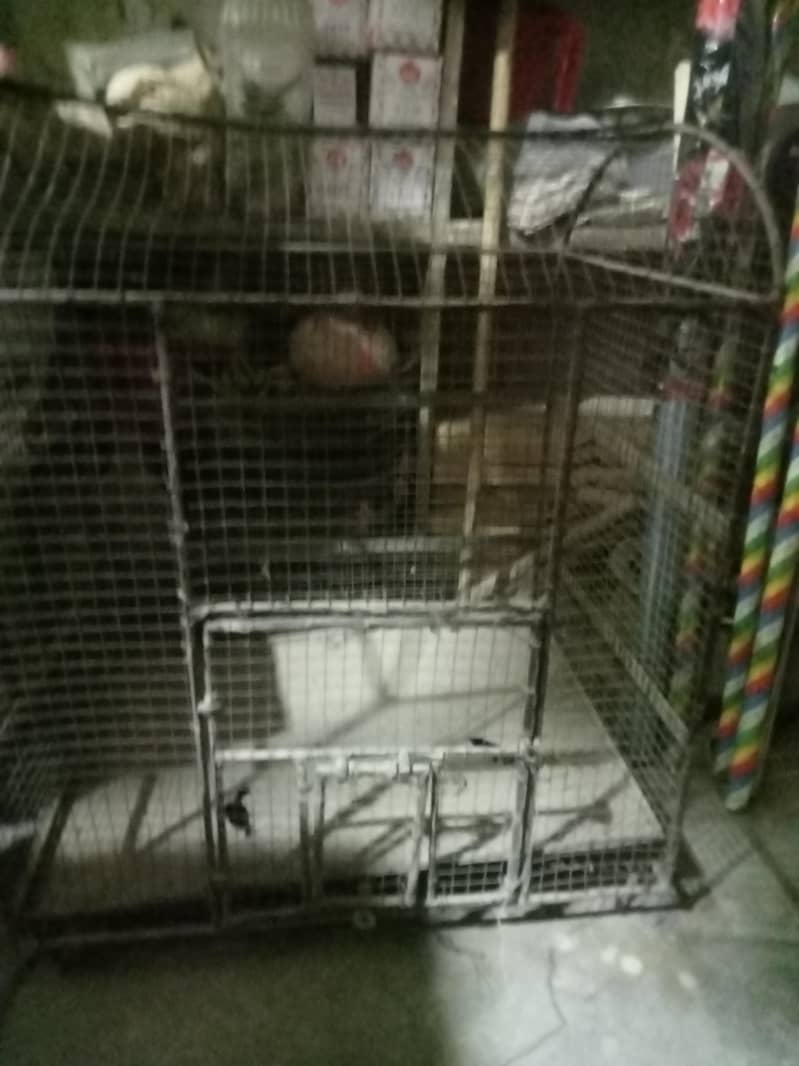 مرغی کے لیے پنجرہ 1