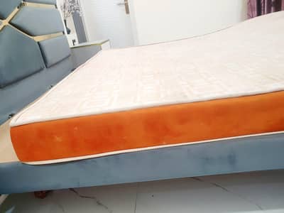 Master Molty Ortho | King Size | 6 INCH | 9 Years Warranty