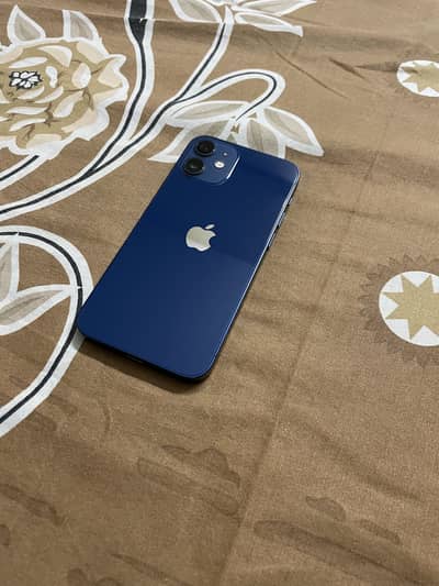 iPhone 12 mini 10/9.5 condition