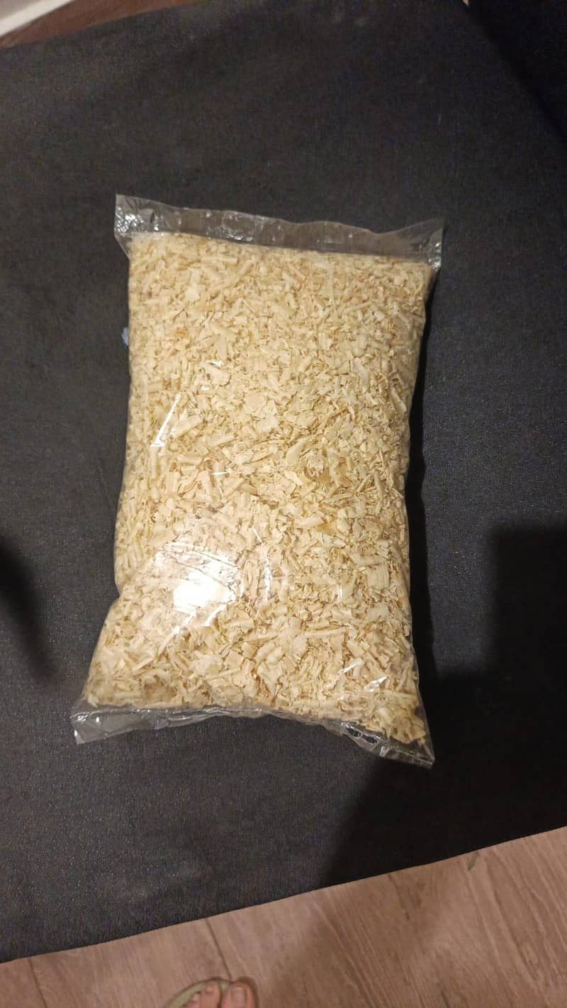 HAMSTERS AVAILABLE 13