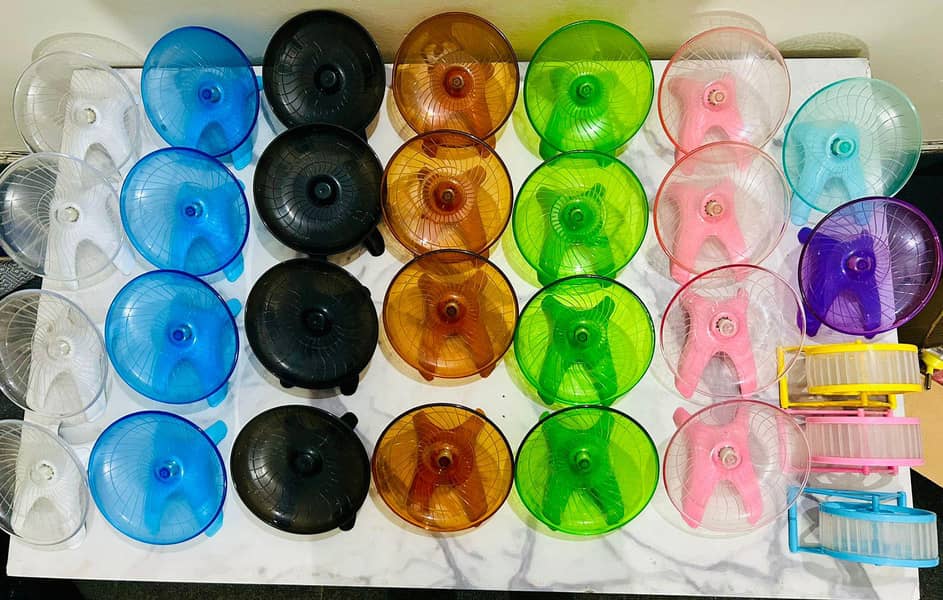 HAMSTERS AVAILABLE 15