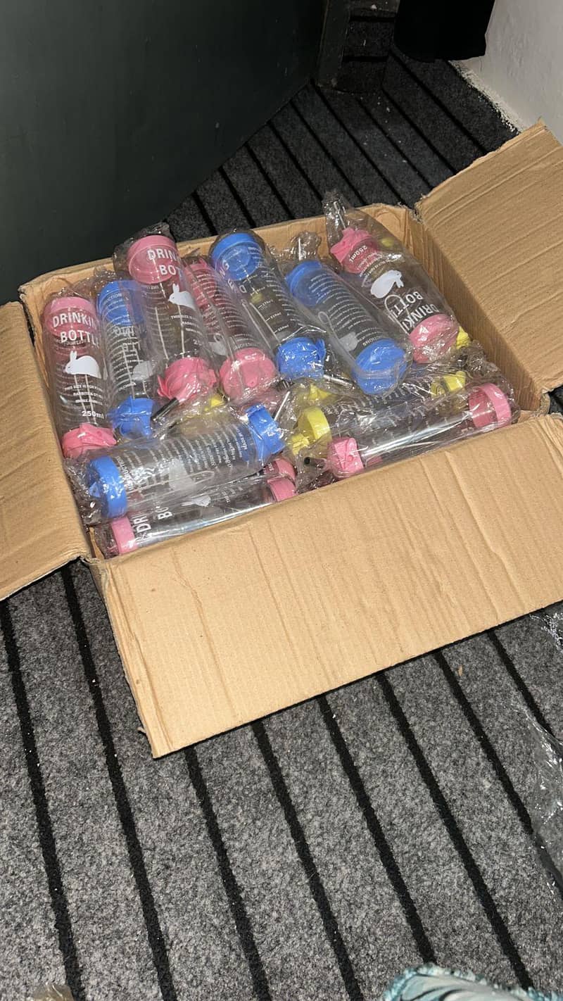 HAMSTERS AVAILABLE 16